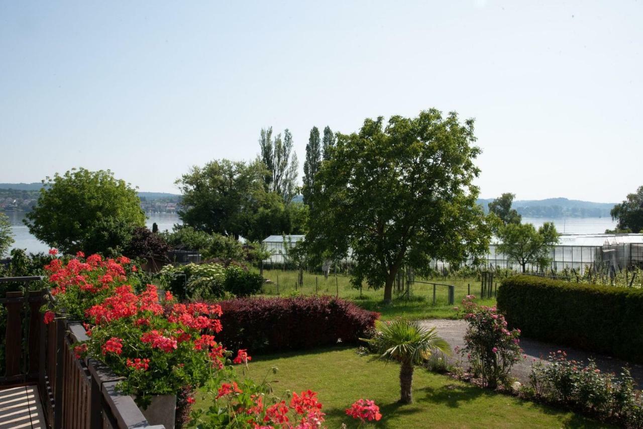 Ferienwohnungen Richard Wurz Île de Île de Reichenau Extérieur photo