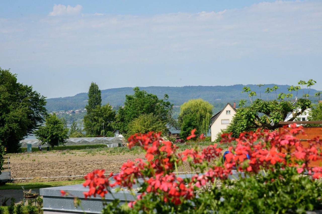 Ferienwohnungen Richard Wurz Île de Île de Reichenau Extérieur photo